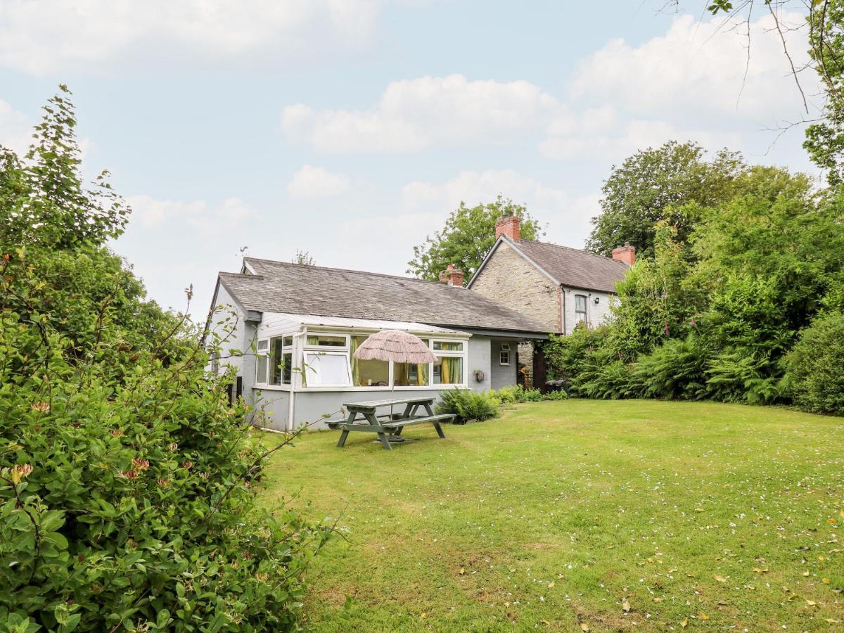 Villa Maesgwyn Cardigan Exterior foto